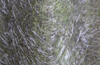 Walton West fibreglass roof work